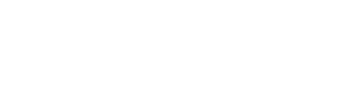 Riatrónica