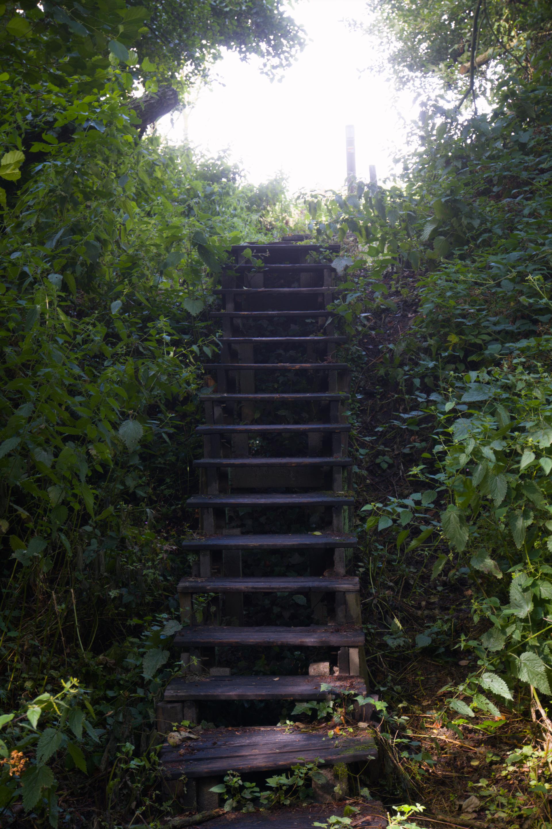 Belgium hikes