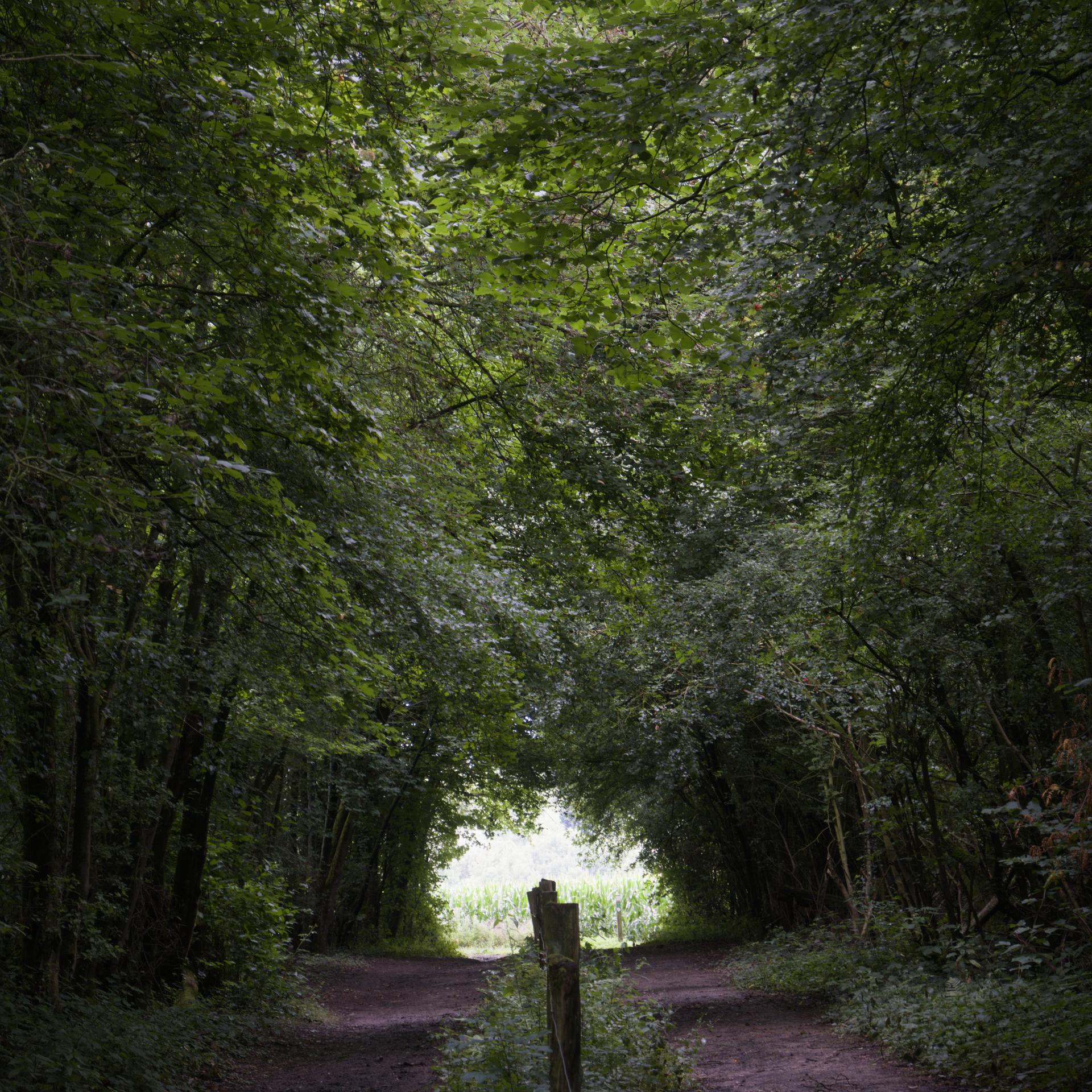 Belgium hikes