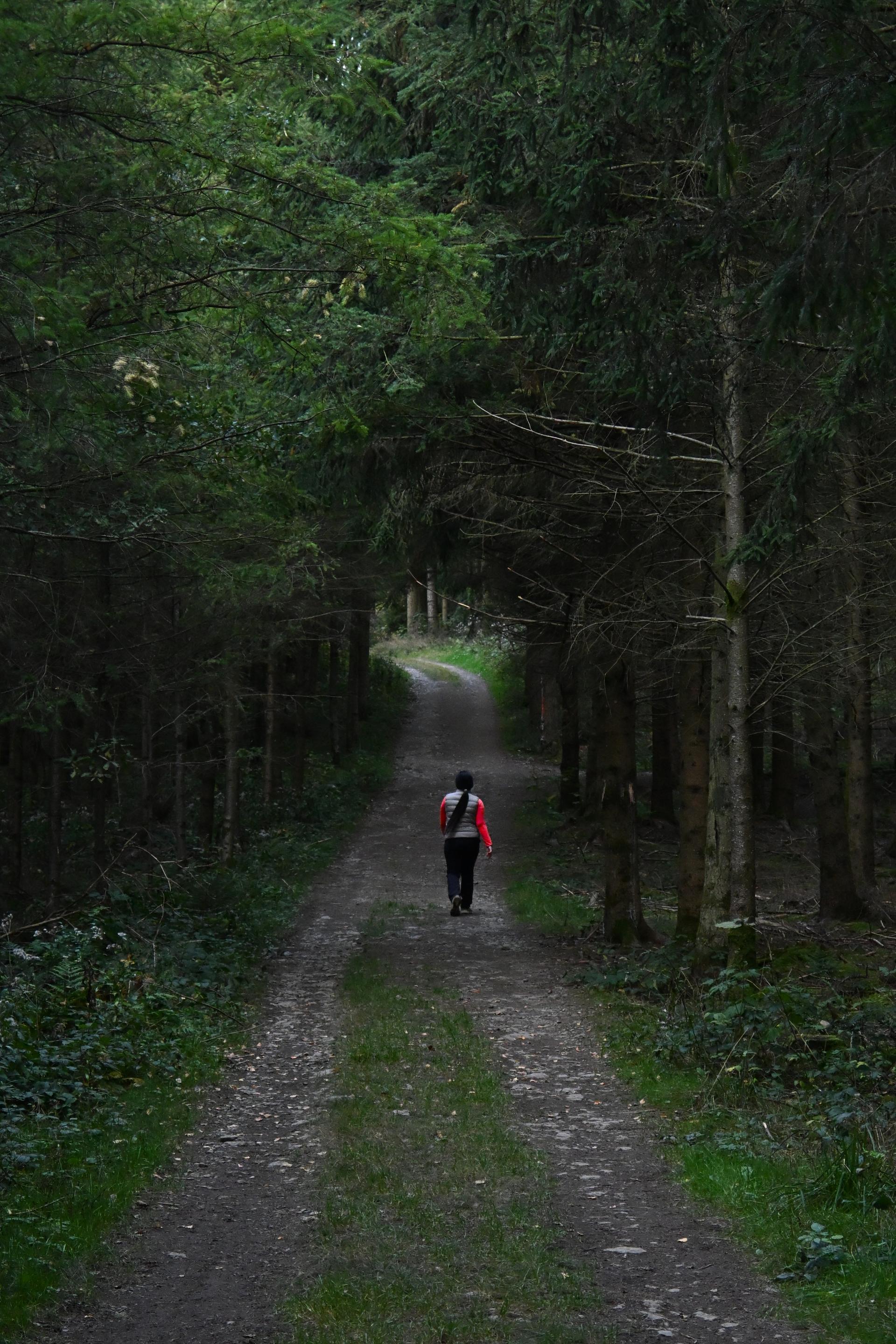 Belgium hikes