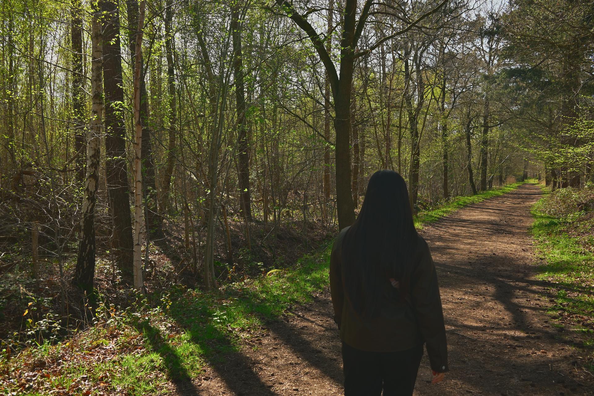 Belgium hikes