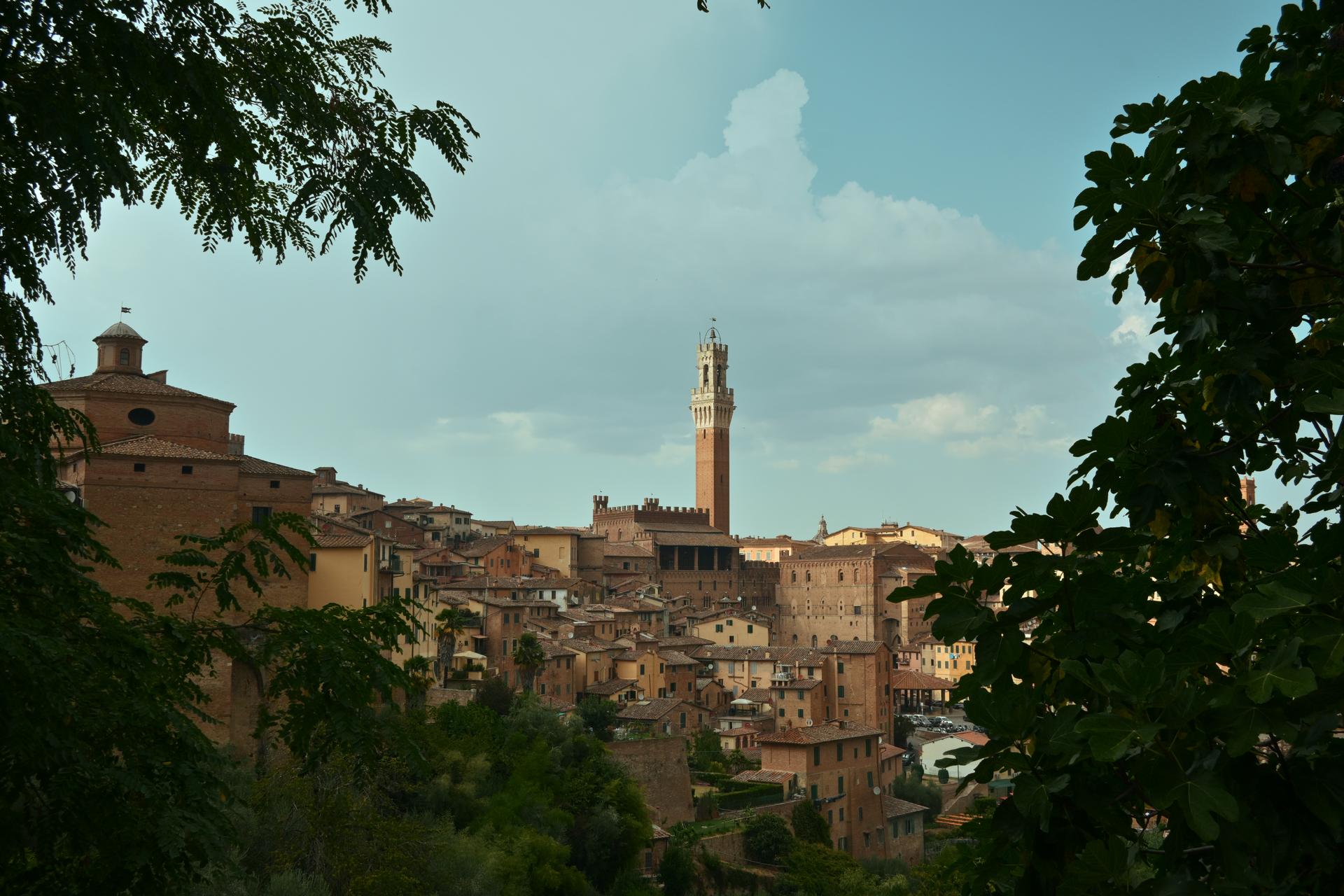 Siena