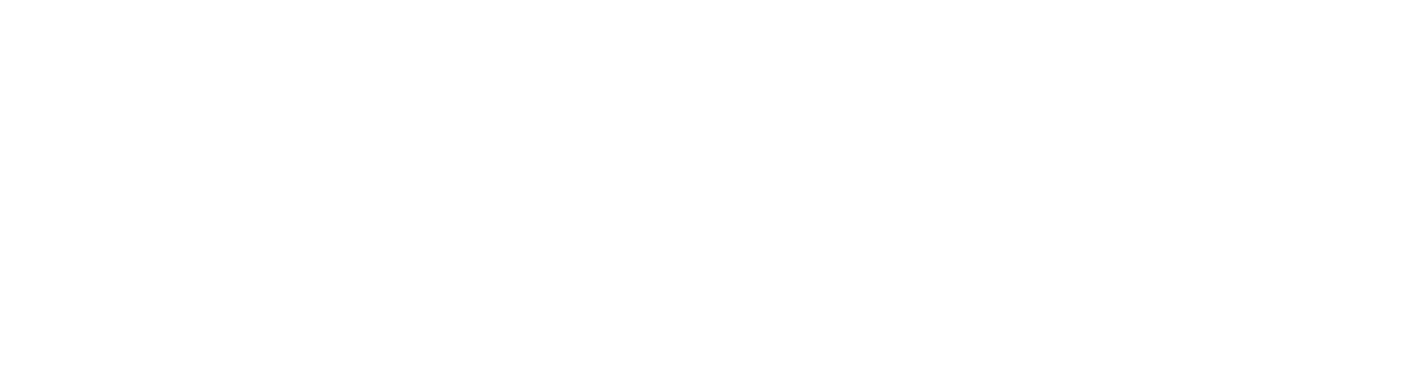 Play Network logo