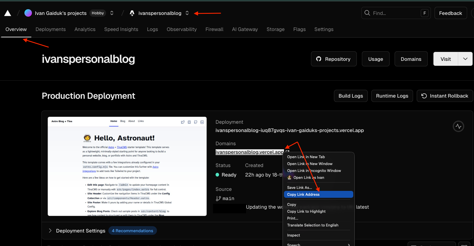 Location of the project URL to copy