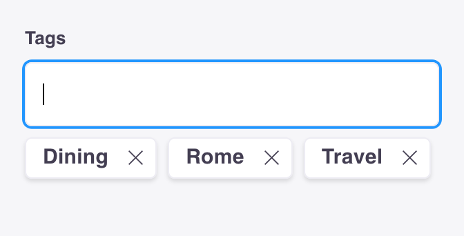 Tags Input