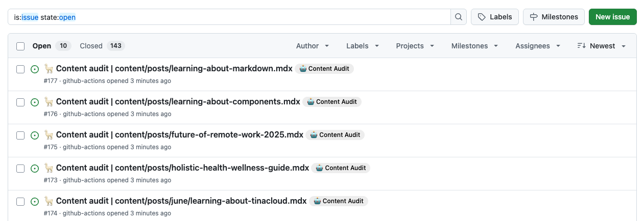 Issue List after Running Content Audit Action