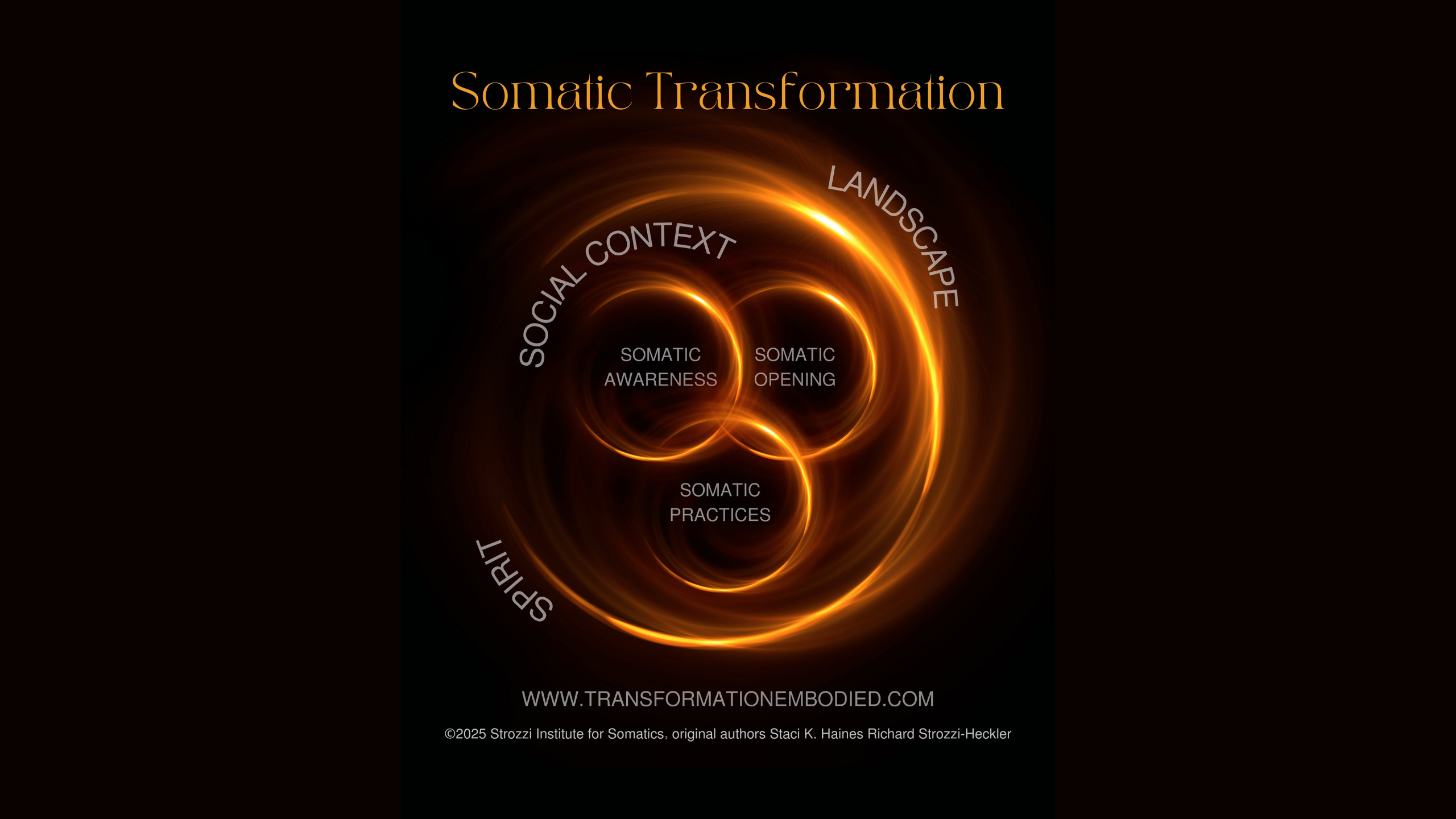 what is Strozzi Somatics? a deep dive into somatic transformation and its benefits for marginalized bodies