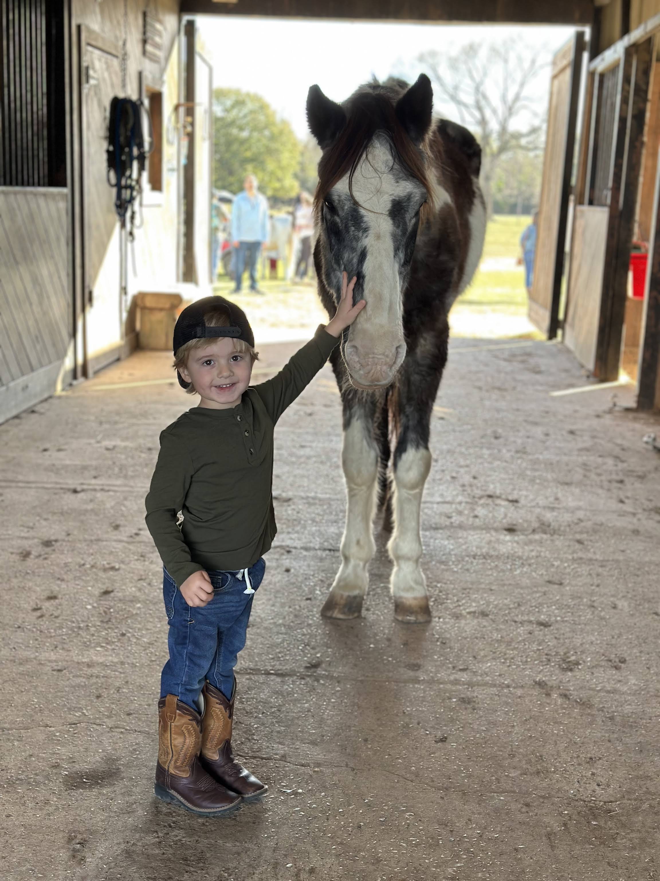 Farm life at The Good Vibe Farm
