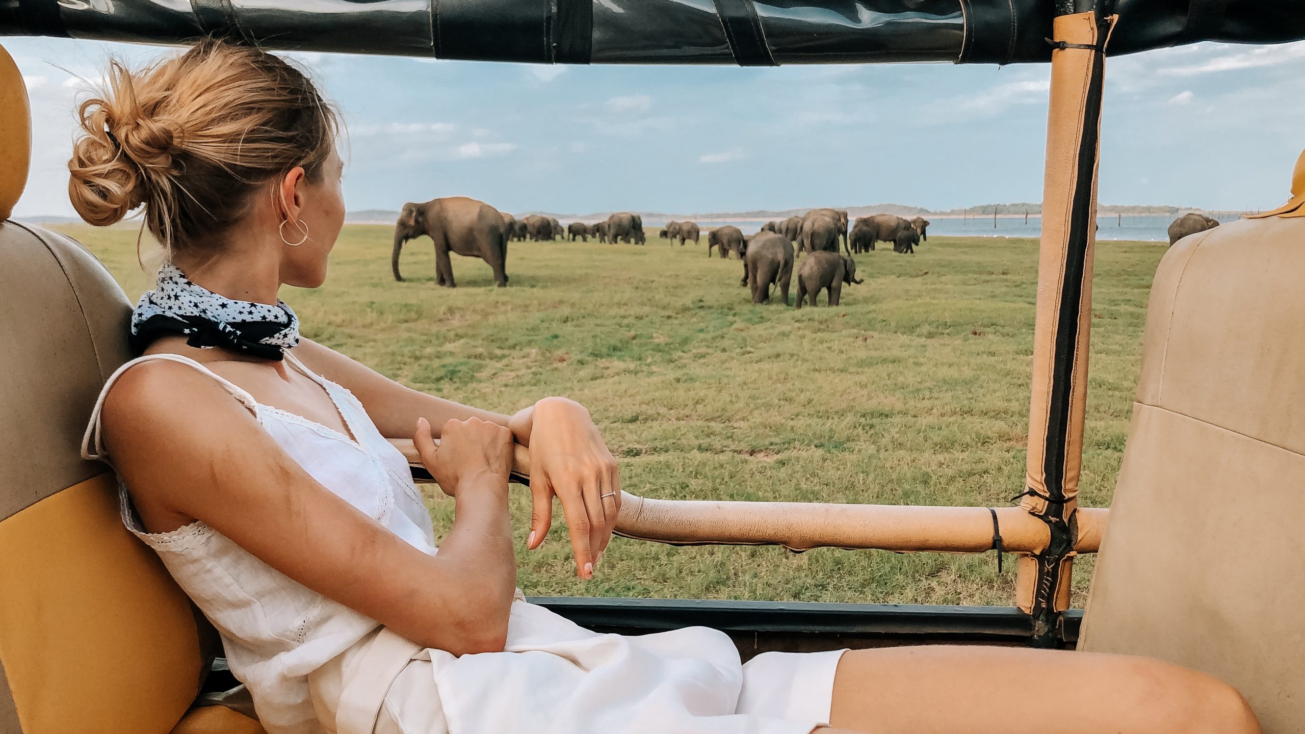 Wildlife Safari Sri Lanka Honeymoon
