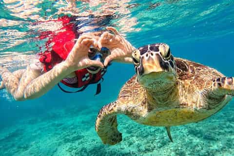Explore Mirissa Snorkeling