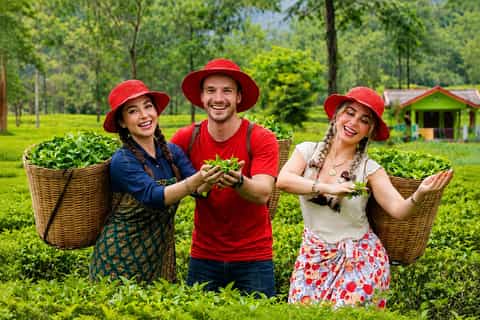 Sri Lanka Tea Country Honeymoon