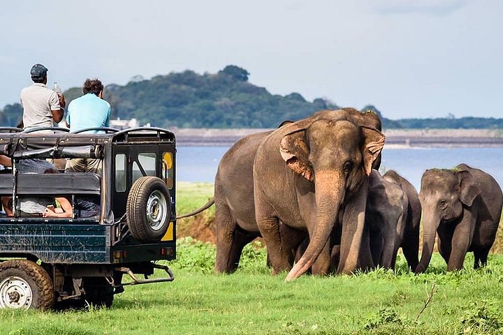 Wildlife Safari Sri Lanka