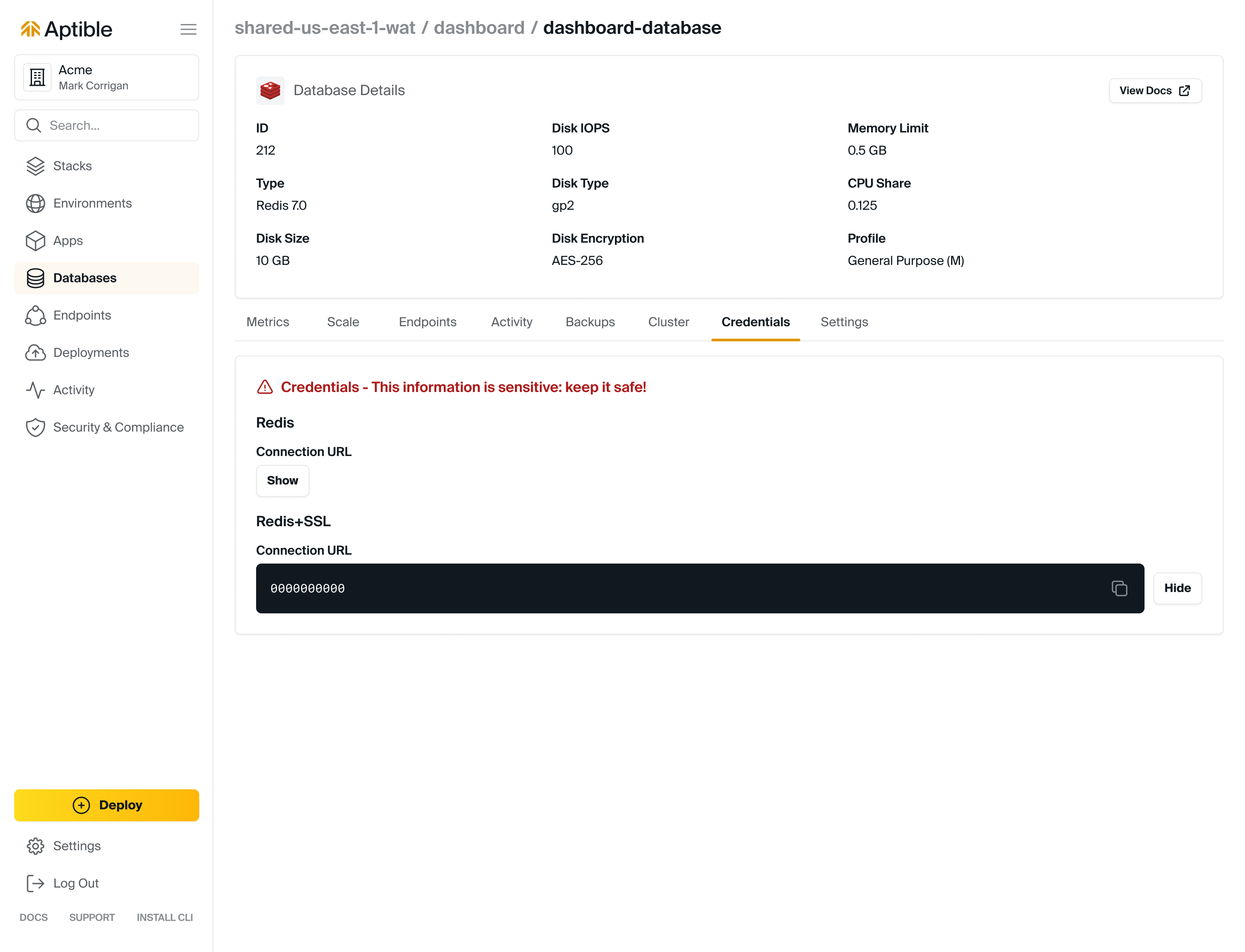 Accessing Database Credentials in the Aptible Dashboard