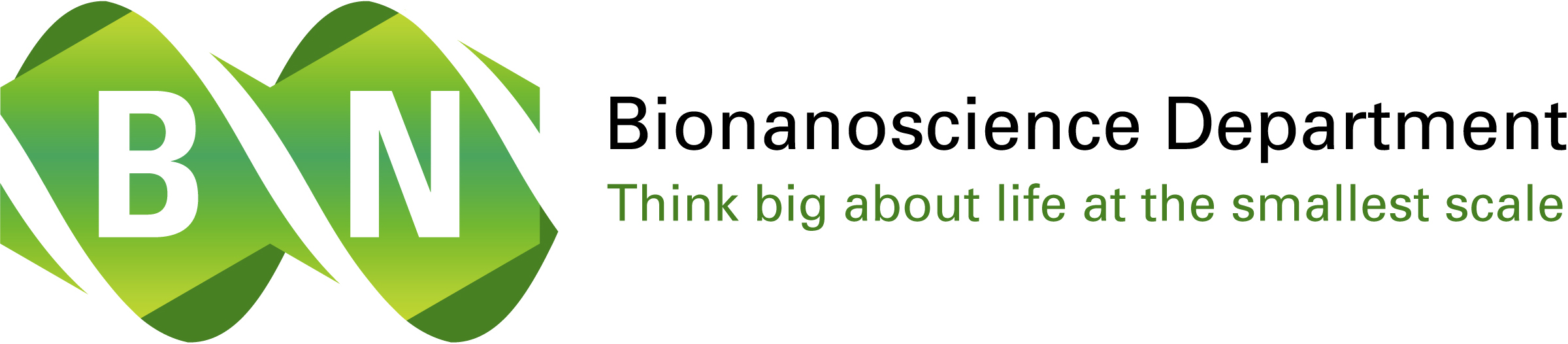 Bionanoscience department