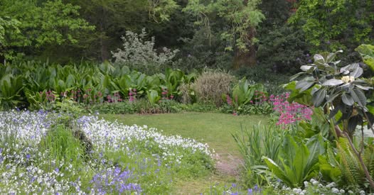 Burrow farm gardens