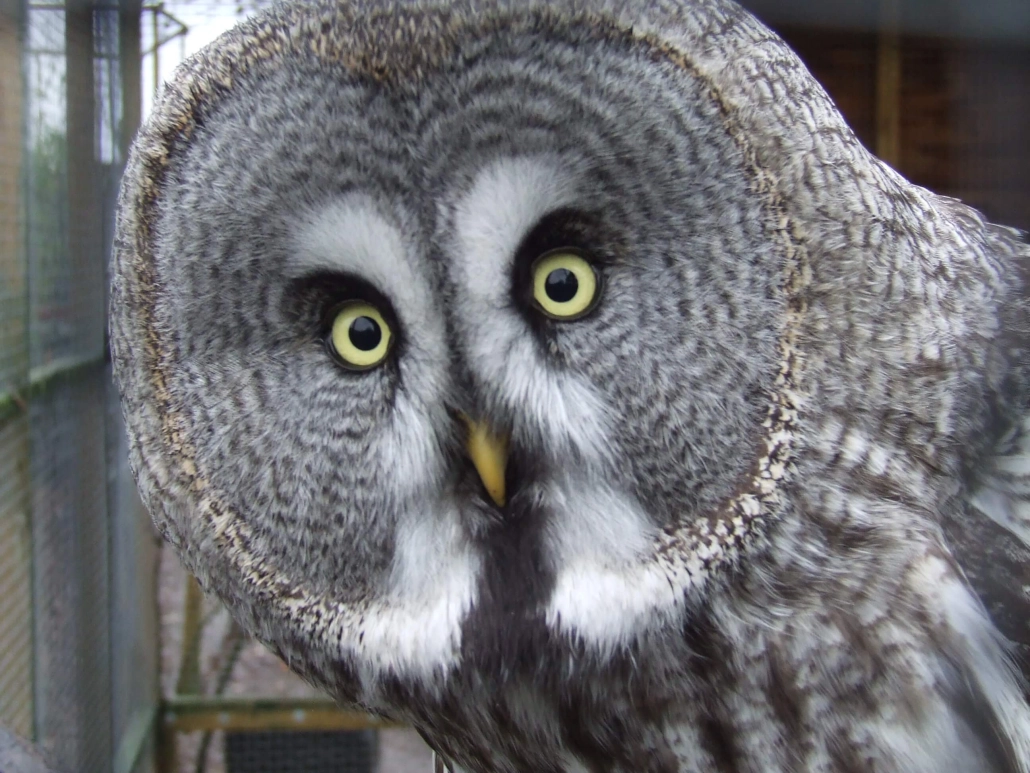 Axe Wildlife park