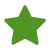 4.9 Stars Google