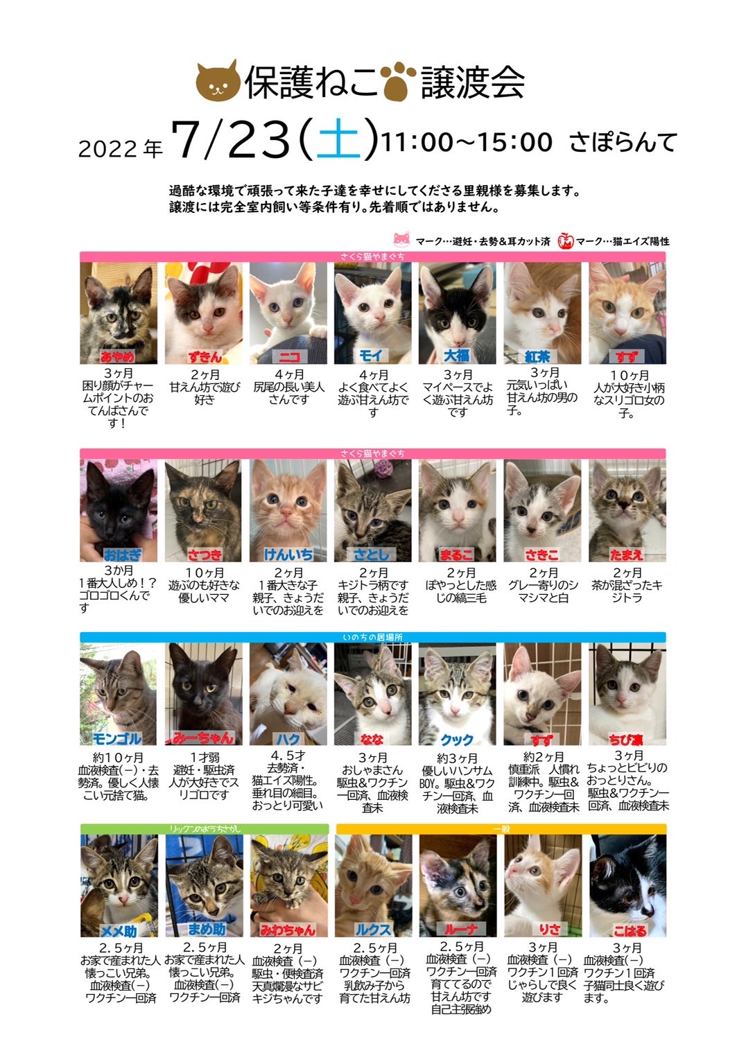 「保護ねこ譲渡会(7/23)」のお知らせ(情報提供）