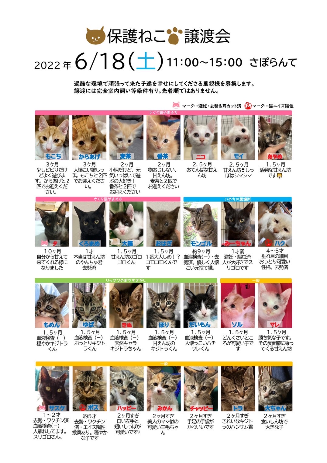 「保護ねこ譲渡会(6/18)」のお知らせ(情報提供)