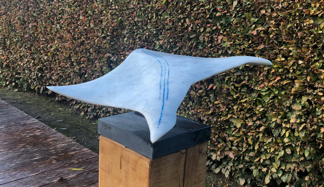 Manta