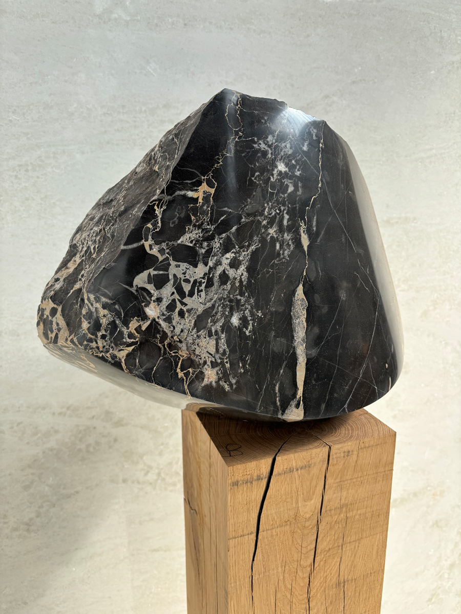 Meteoor — Artwork by Luc Verbeke