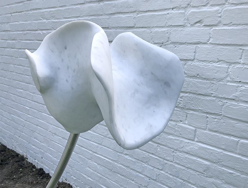 Organic Sculpture