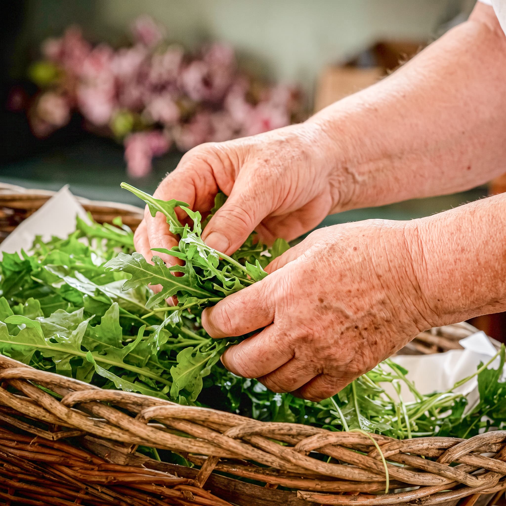 Rucola