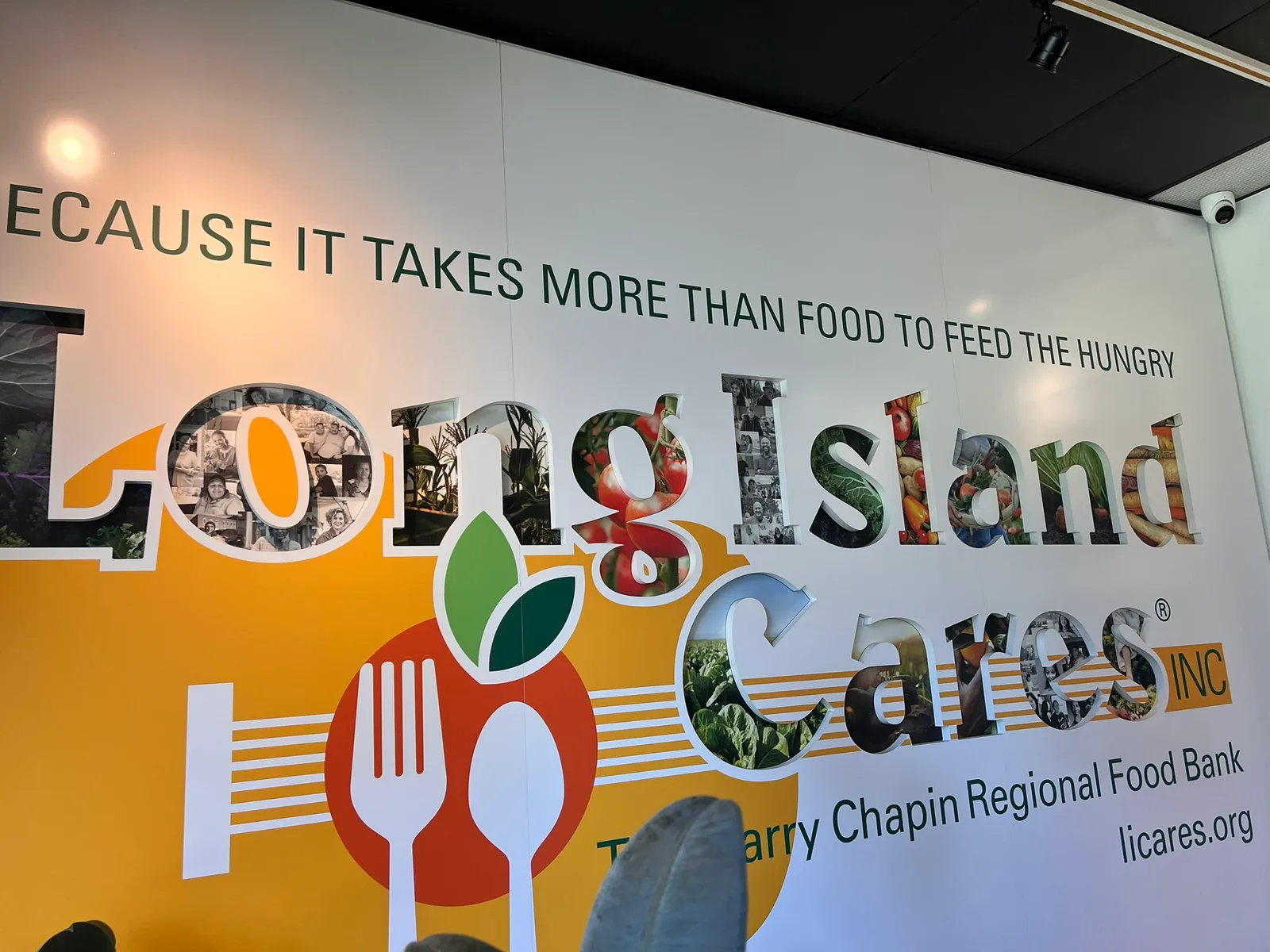 Techworks Team Rolls Up Their Sleeves to Support Long Island Cares