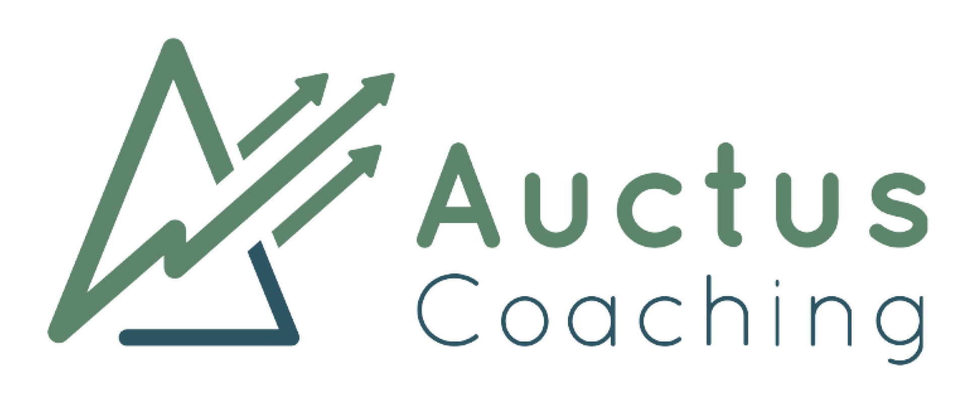 Auctus Coaching