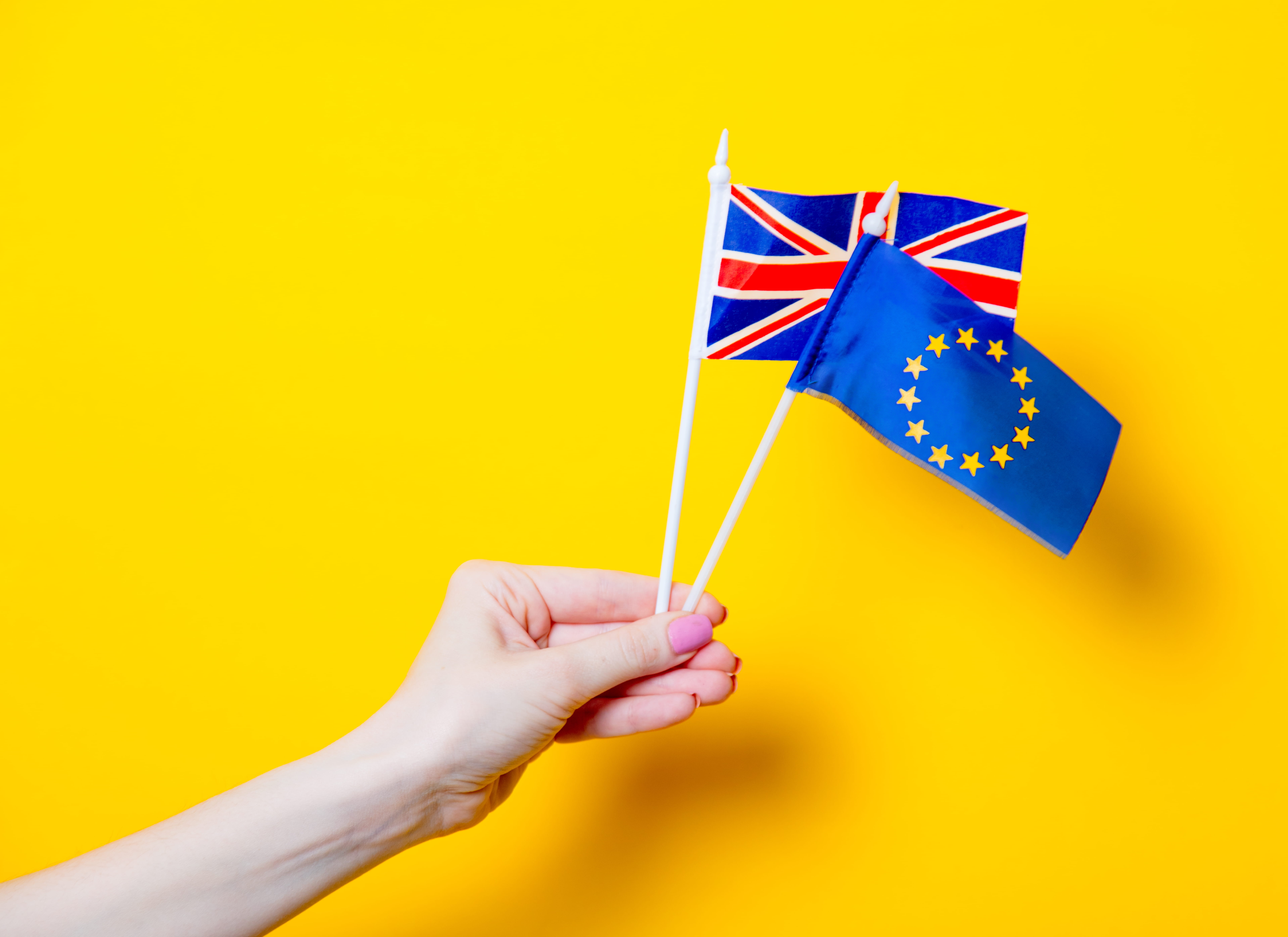 The UK to EU Shipping Survival Guide for Businesses (2026)