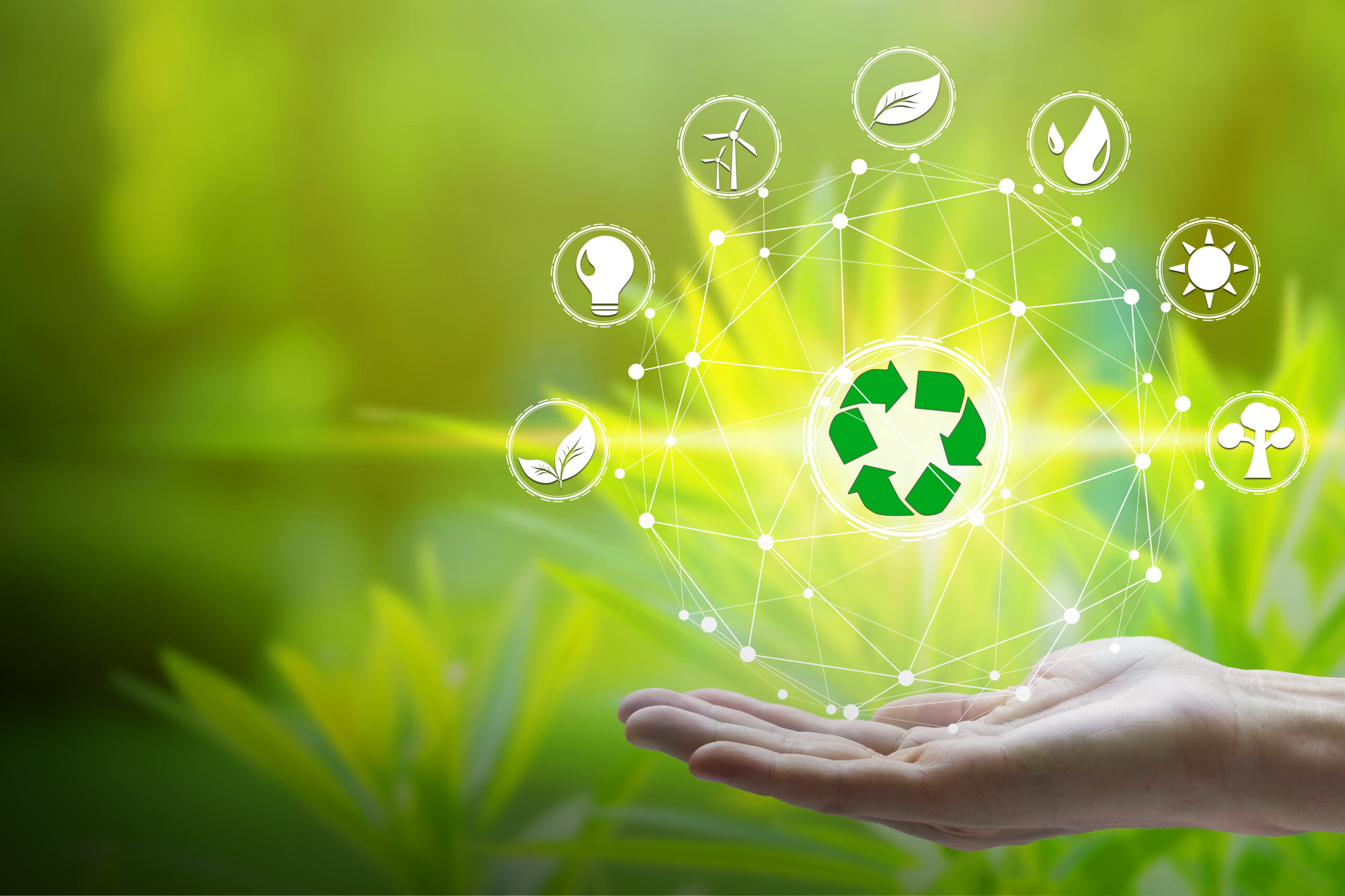 Sustainable Delivery | Blog | CSM Logistics