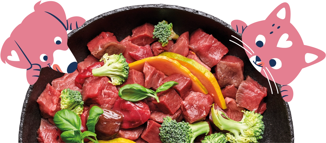 Pets Deli Futternapf mit frischen Zutaten