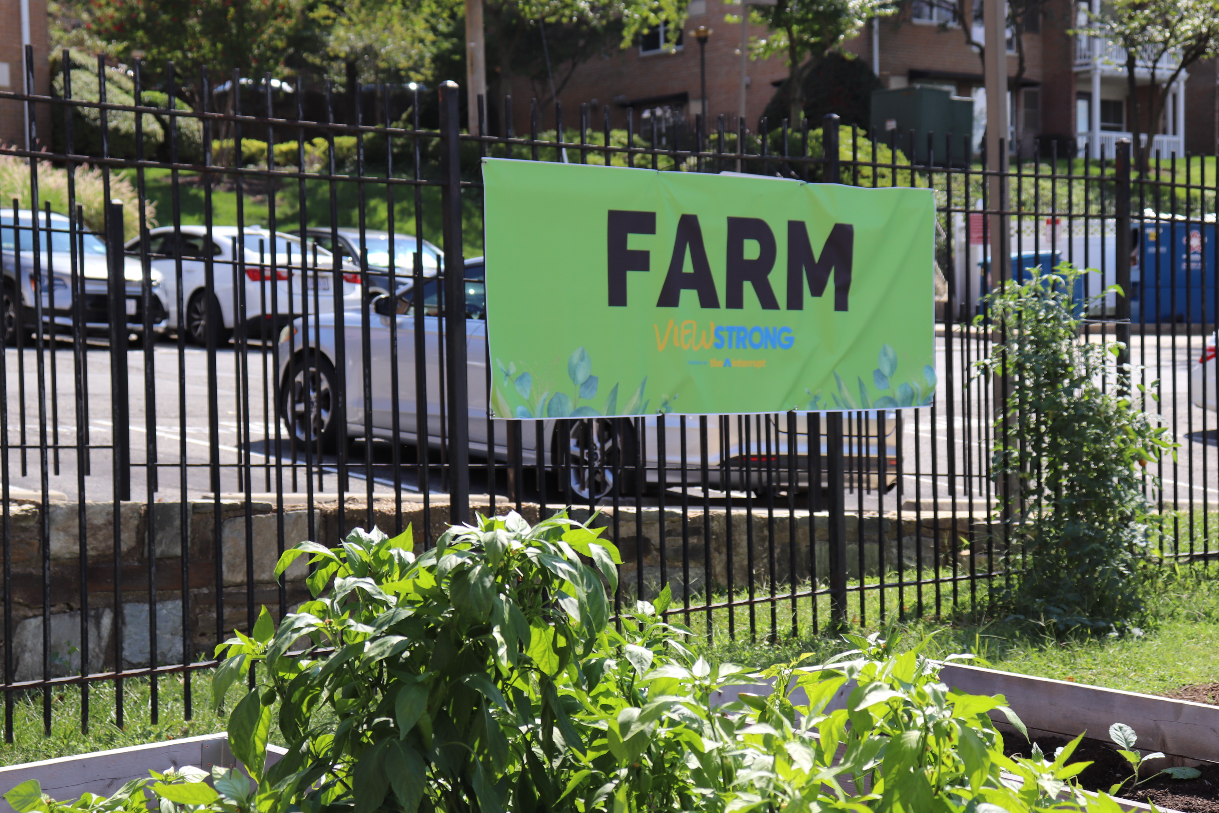 ViewStrong in the News: Building Bridges and Fresh Market Meet Rising Need in Southeast D.C.