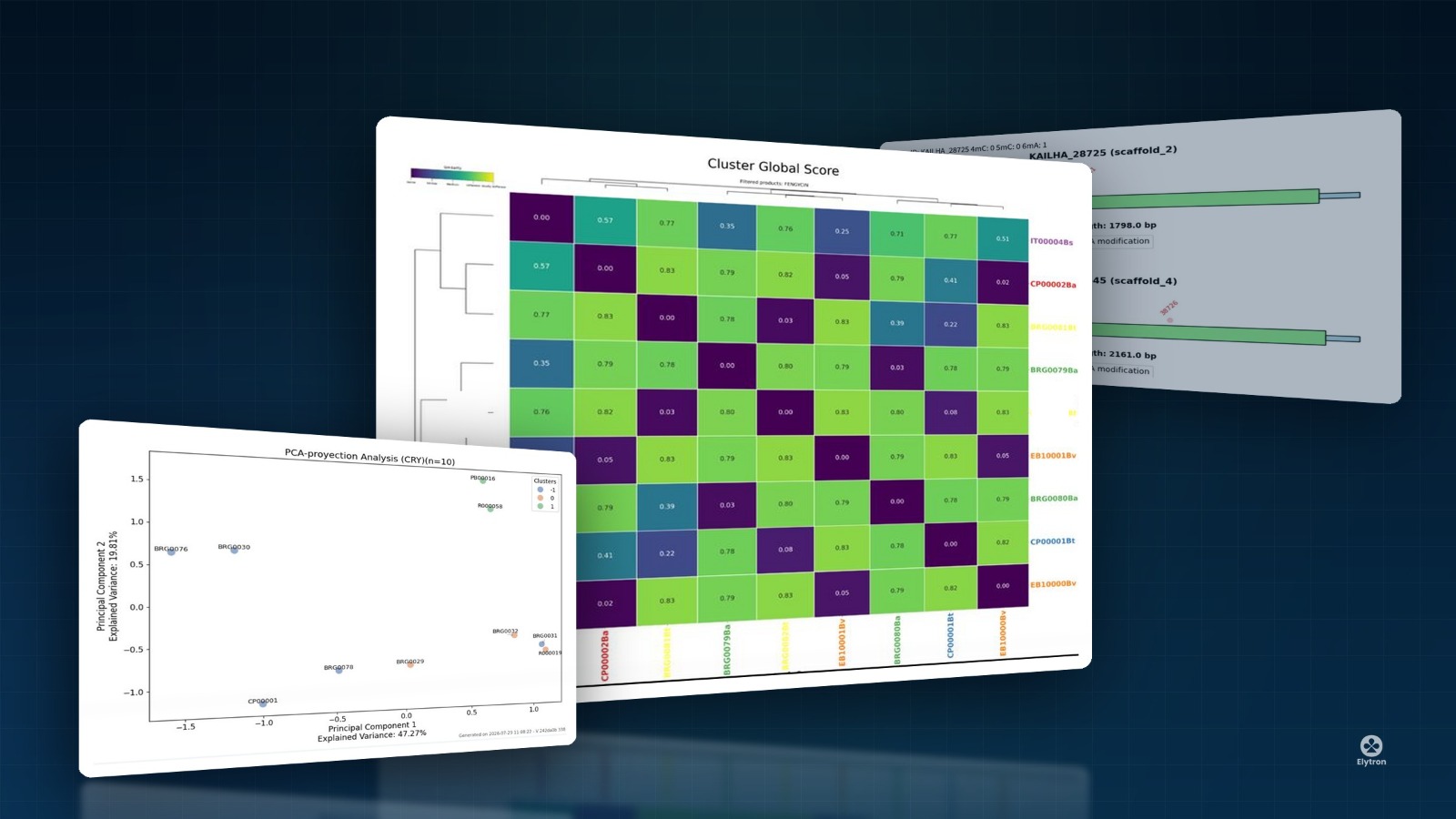 Heatmap de score de similitud genómica entre cepas microbianas de Elytron