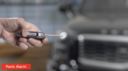Smart Key with Remote Start