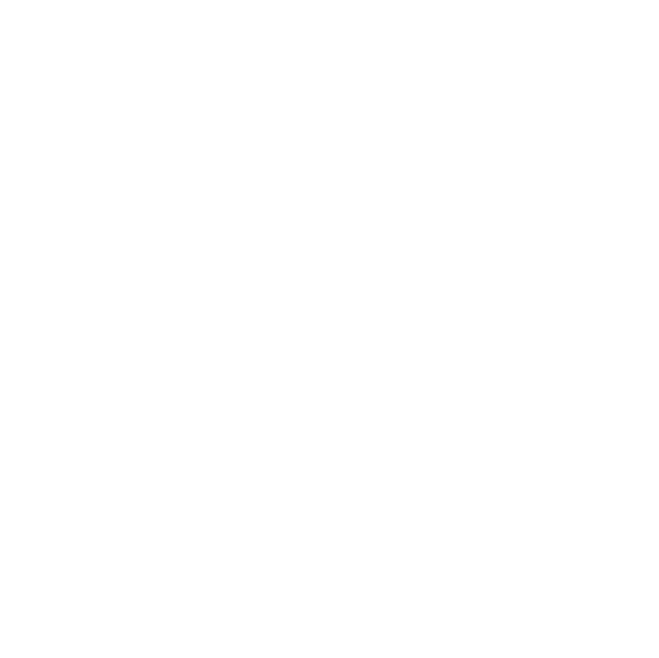 Santo Domingo Motors