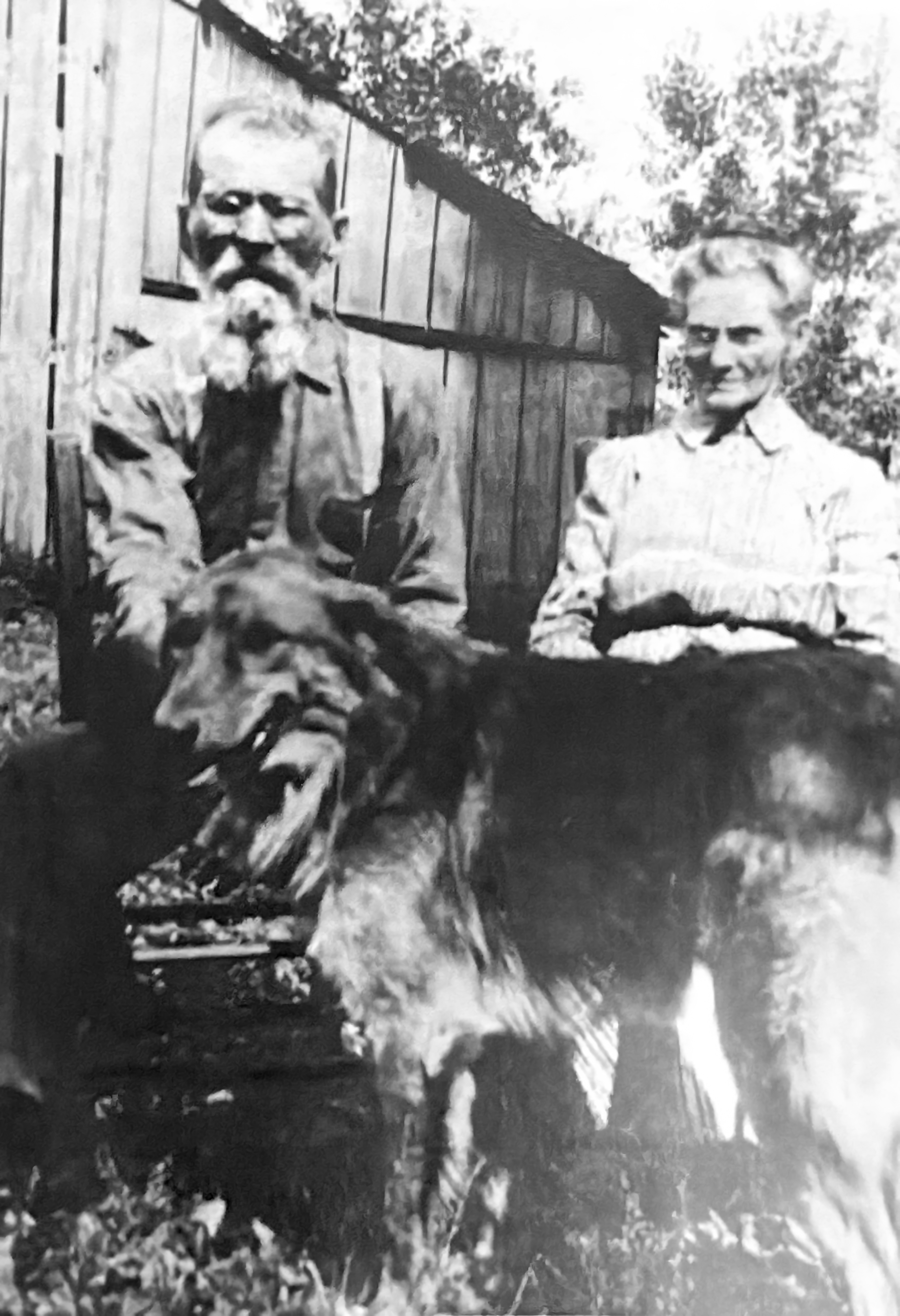 The Family Tour — A Guided Tour of Our Ancestors and Their Worlds
