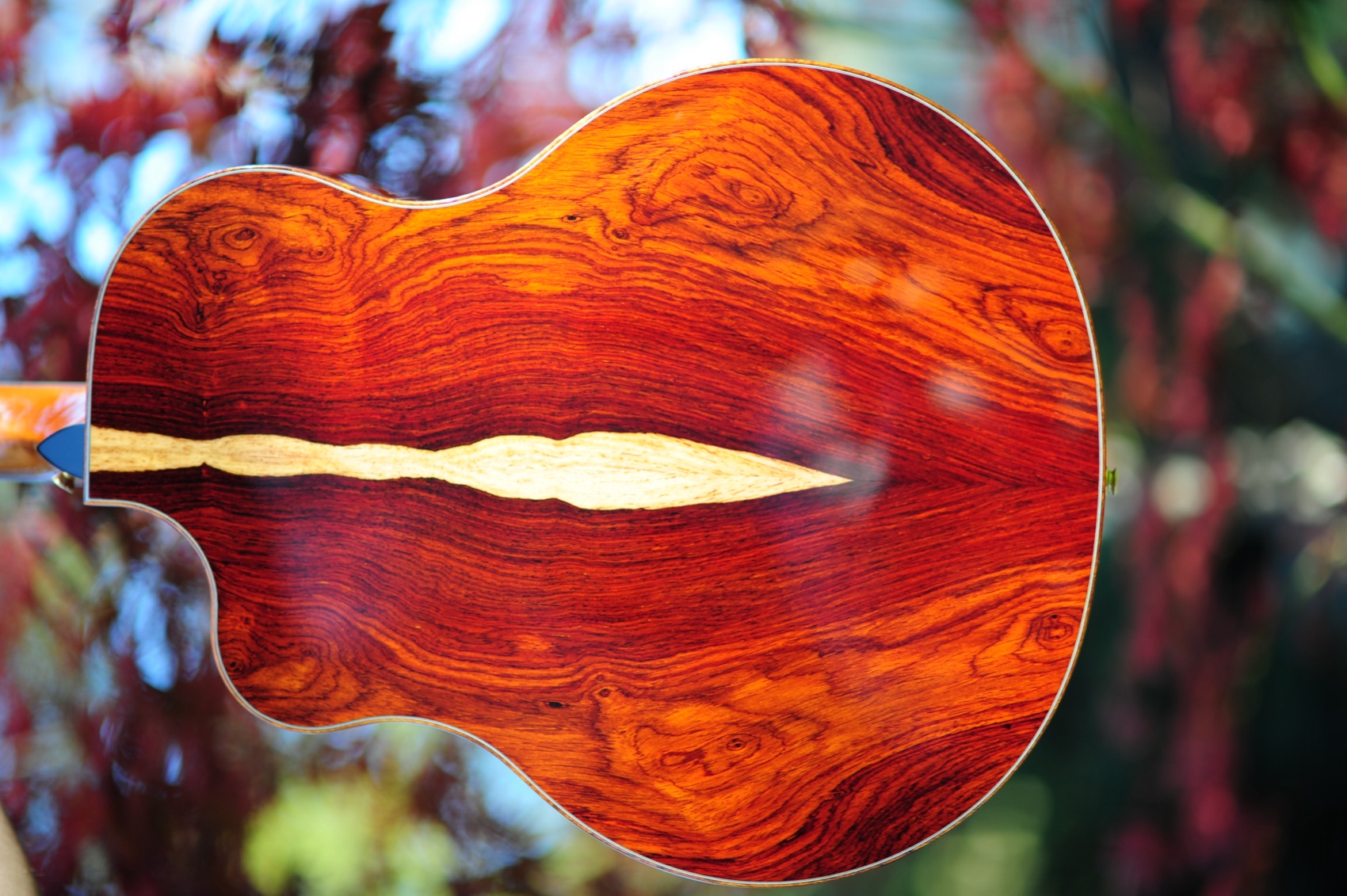 The richly figured colobolo-wood back of the McPherson MG 4.5 XP against autumn foliage