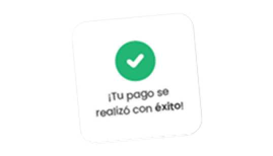 Sigue las indicaciones de tu app y procede a pagar tu servicio.