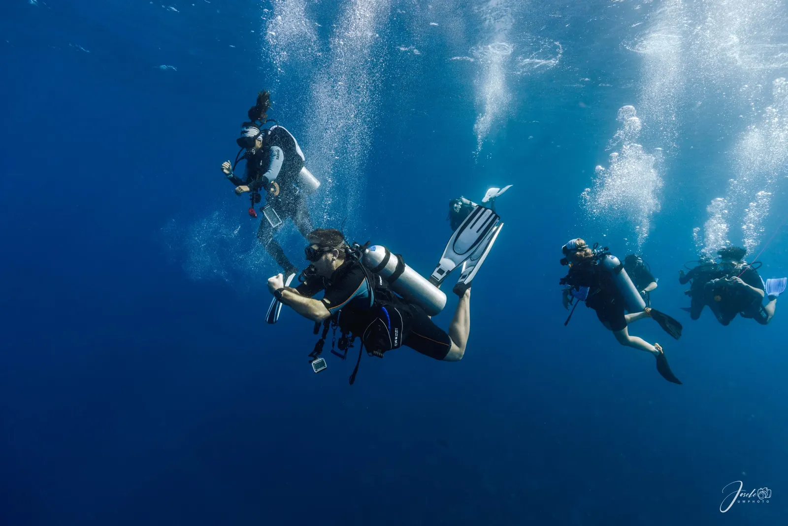 Plongeurs en descente dans le bleu