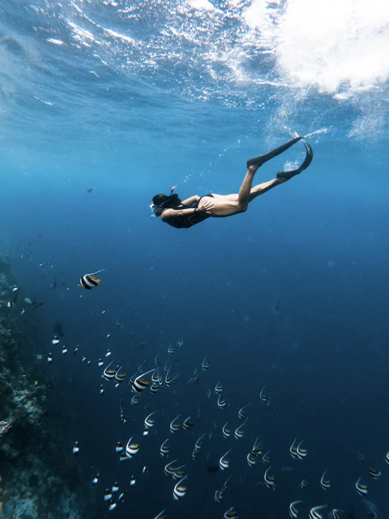 Apnéiste qui descend dans le bleu, Maldives