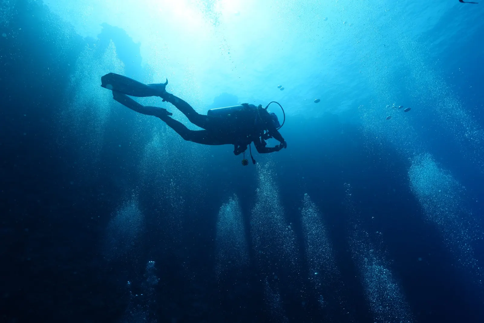 Plongeur en silhouette dans le bleu, le long d’un tombant, Daedalus