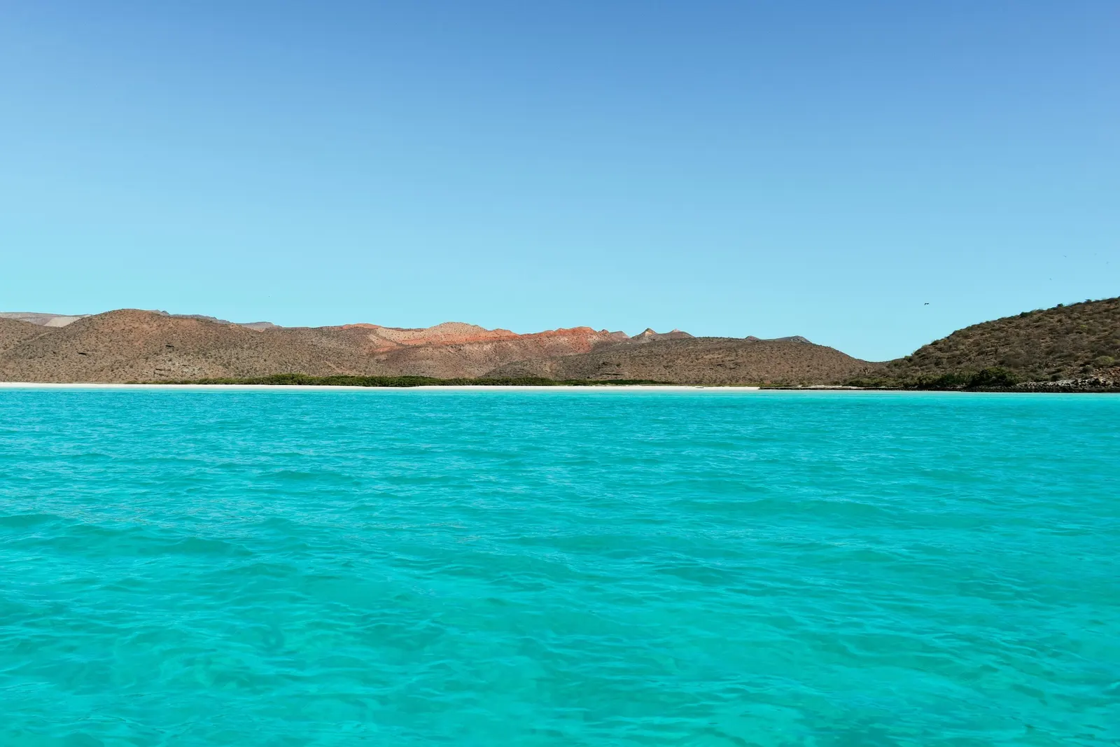 Baie turquoise de la mer de Cortez, Basse-Californie