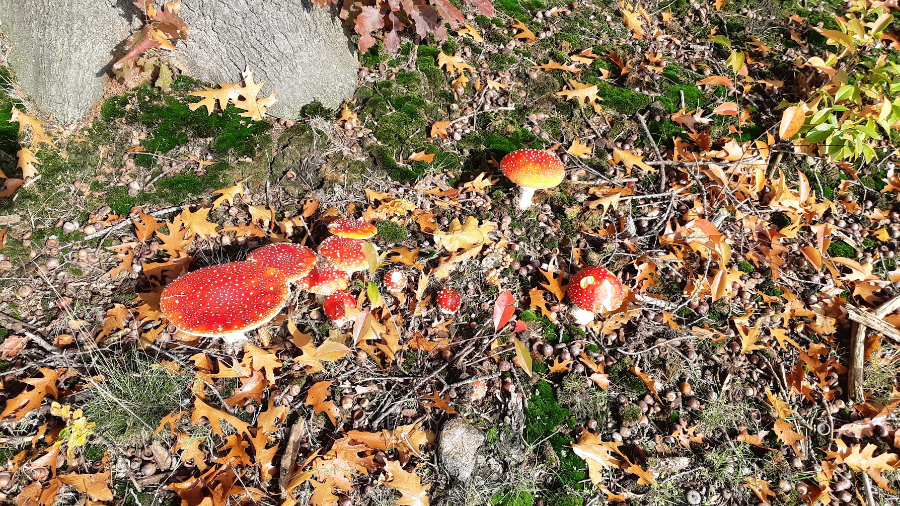 Inloopavond circulaire samenleving 20 november 2025