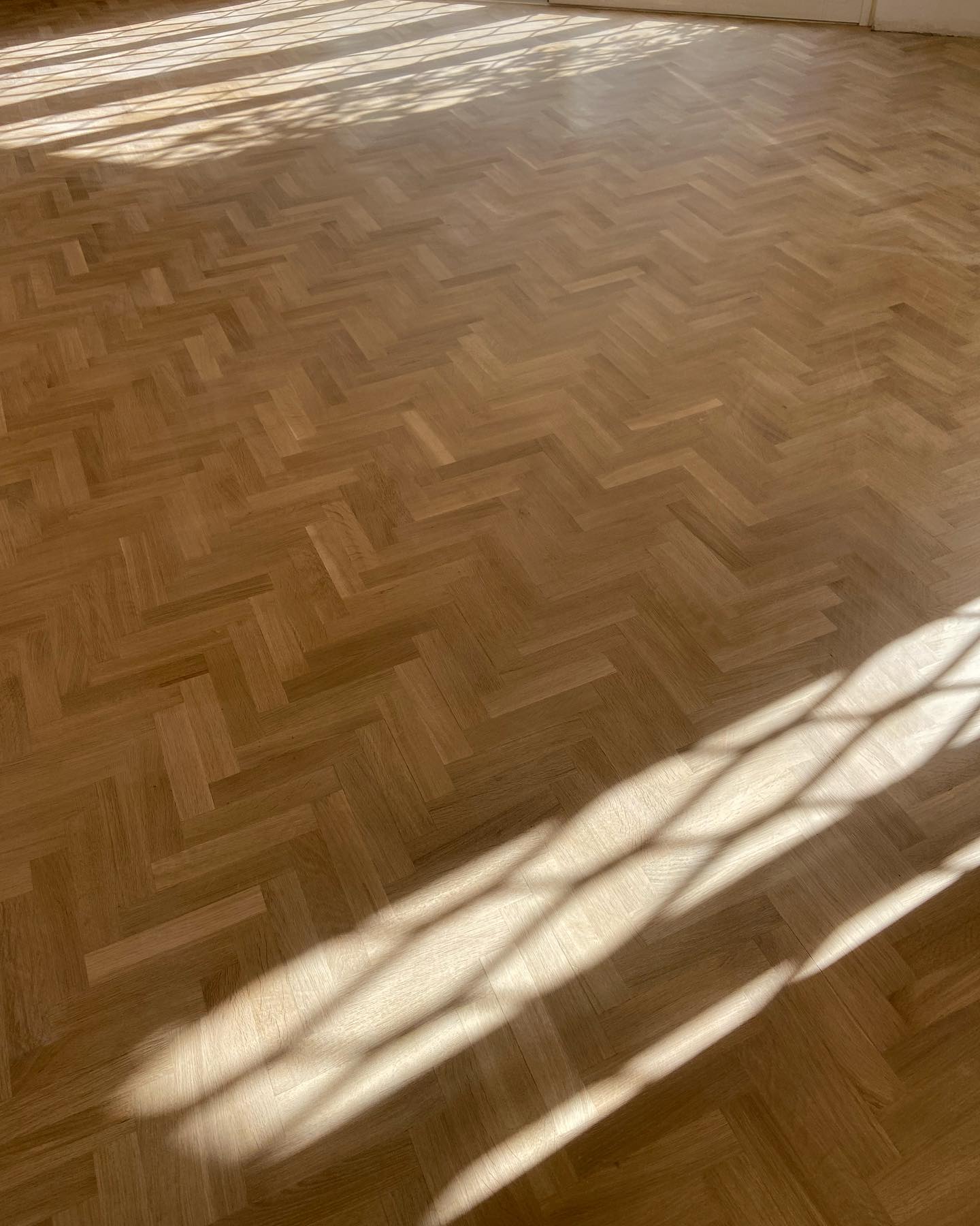 Rovere a Spina Italiana - Classico Contemporaneo - immagine 7