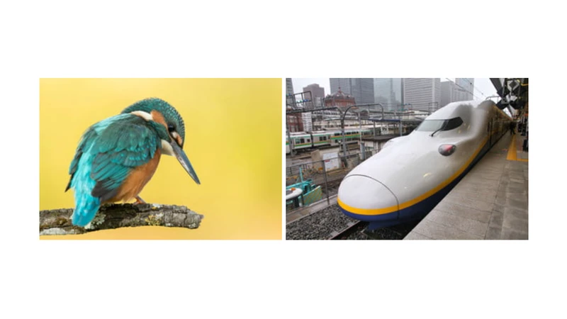 Bird and train image