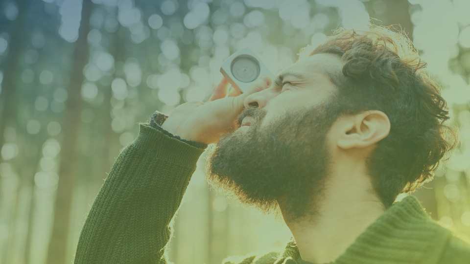 10 motivos para fazer inventário florestal