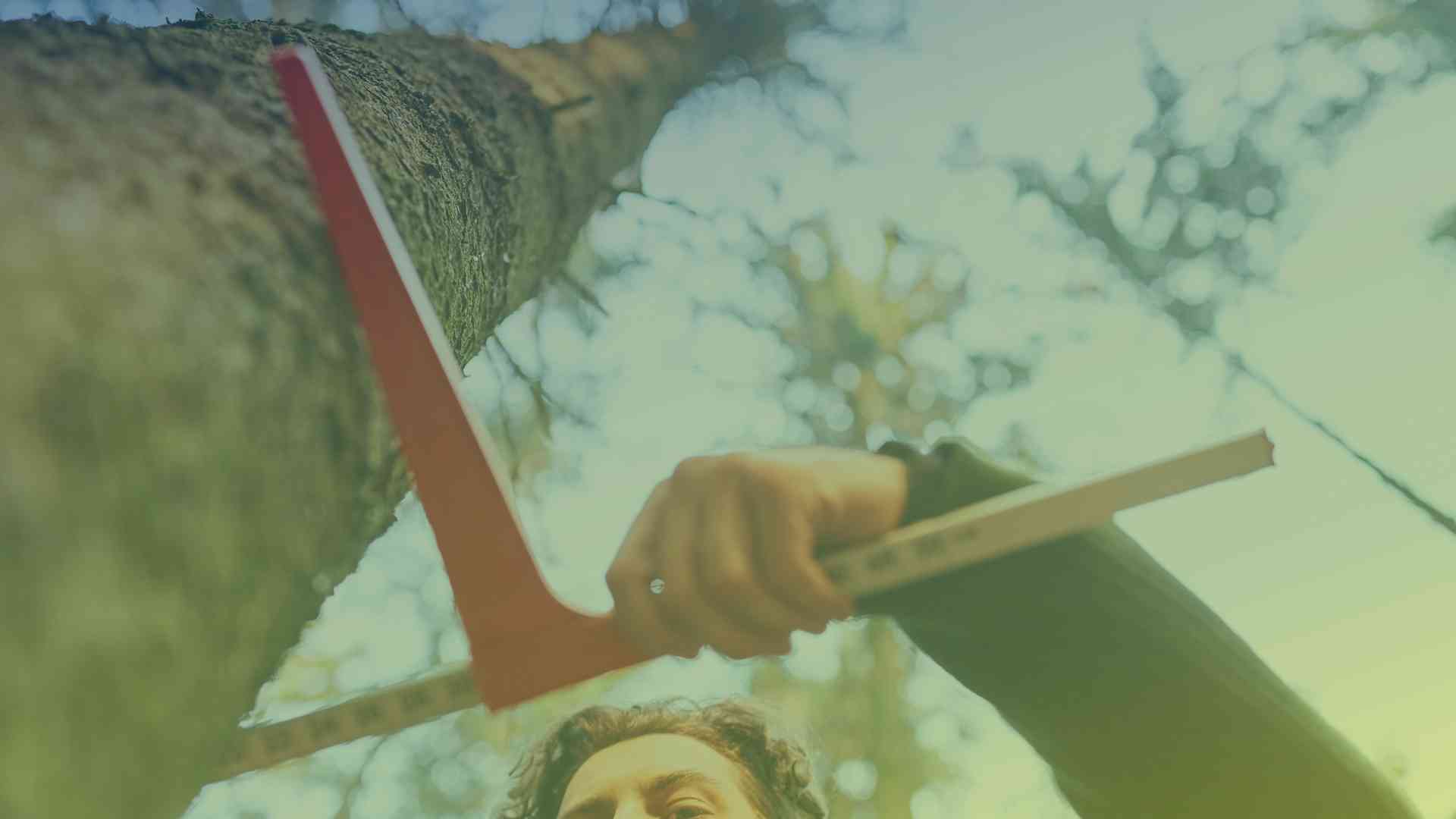 Por que repensar a forma de coletar DAP?
