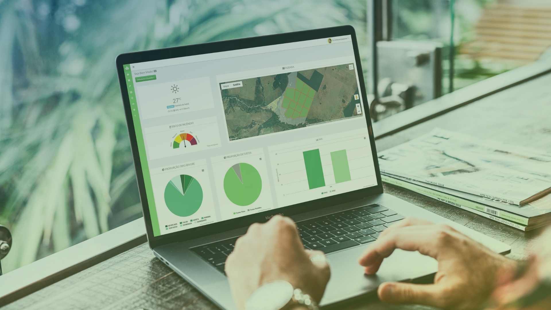 Software florestal: o que é?
