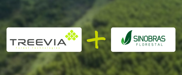 Treevia e Sinobras fortalecem a integração entre campo e gestão florestal